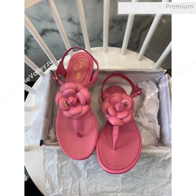 Chanel Lambskin Classic Camellia Thong Sandals Pink 2020 (NH-20042301)