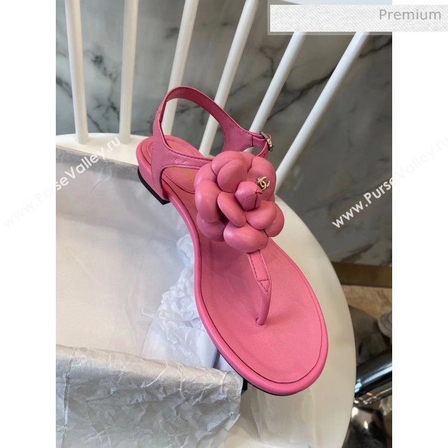 Chanel Lambskin Classic Camellia Thong Sandals Pink 2020 (NH-20042301)