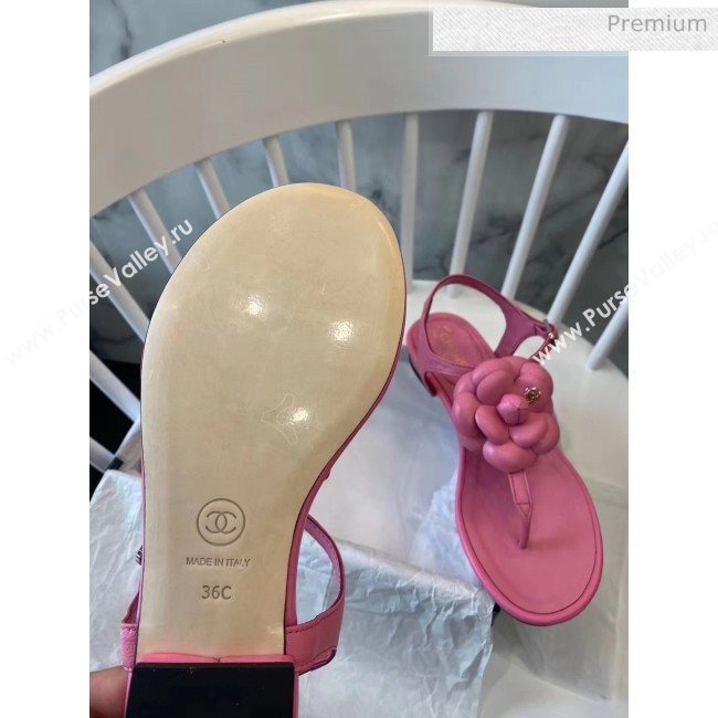 Chanel Lambskin Classic Camellia Thong Sandals Pink 2020 (NH-20042301)
