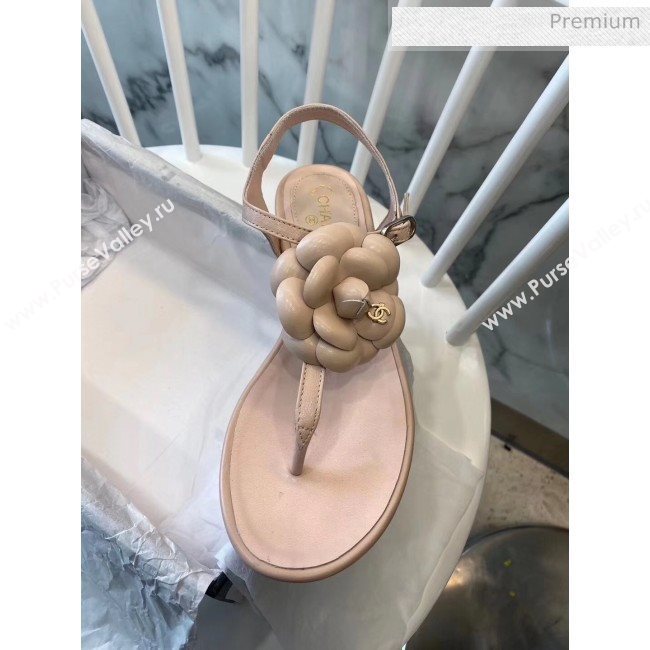 Chanel Lambskin Classic Camellia Thong Sandals Nude 2020 (NH-20042302)