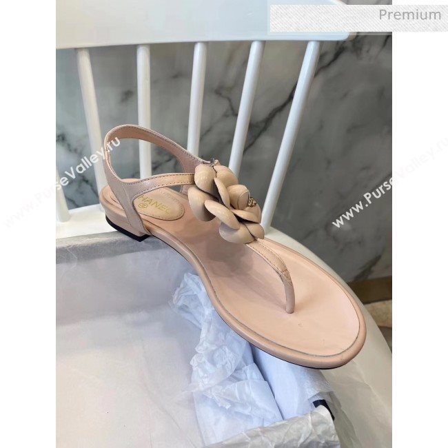 Chanel Lambskin Classic Camellia Thong Sandals Nude 2020 (NH-20042302)