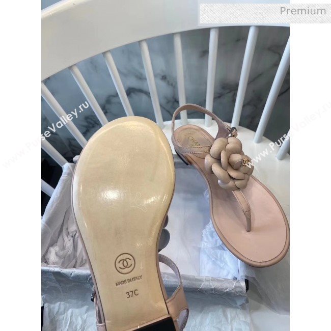 Chanel Lambskin Classic Camellia Thong Sandals Nude 2020 (NH-20042302)