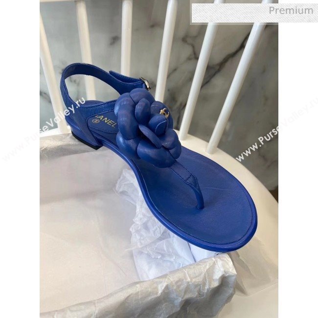 Chanel Lambskin Classic Camellia Thong Sandals Blue 2020 (NH-20042303)