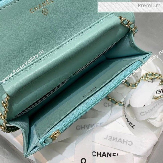 Chanel Lambskin Wallet on Chain With Round Handle AP1177 Light Green 2020 (AFEI-20042122)