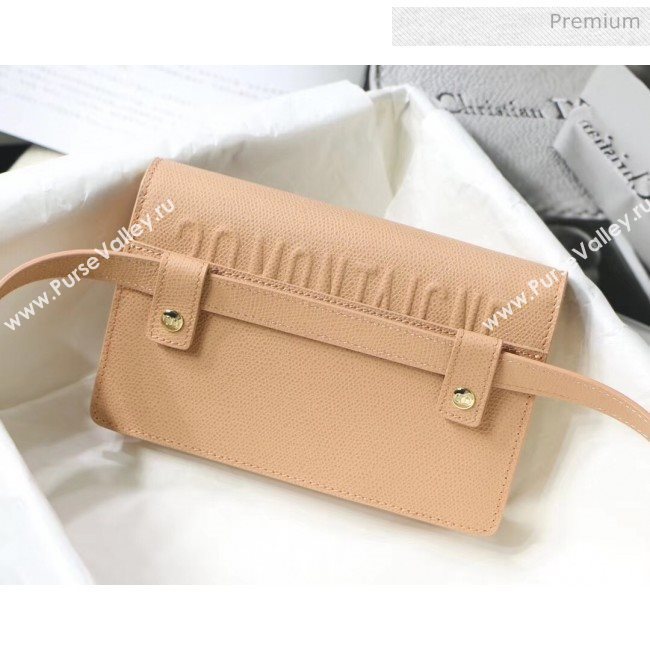 Dior 30 Montaigne Grainy Calfskin 2-in-1 Pouch Nude Pink 2020 (XXG-20043022)