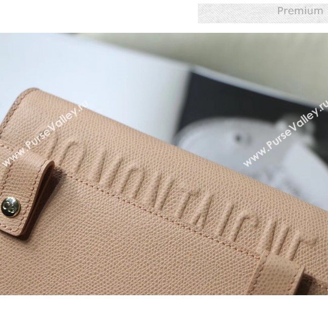 Dior 30 Montaigne Grainy Calfskin 2-in-1 Pouch Nude Pink 2020 (XXG-20043022)
