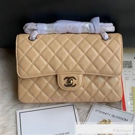 Chanel Small Classic Quilted Iridescent Grained Calfskin Flap Bag Nude 2019 (SSZ-9052081)