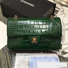 Chanel Crocodile Embossed Calfskin Classic Flap Bag A01112 Green 2019 (XIN-9052915)