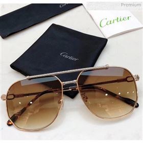 Cartier Sunglasses CT0298 121 2020 (A-20041061)