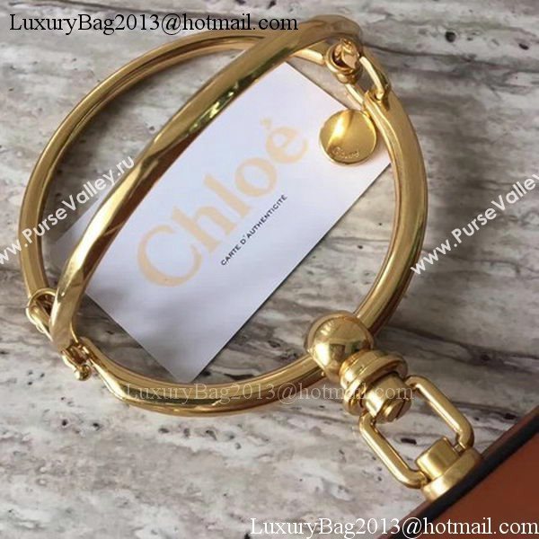 Chloe NANO Nile Bracelet Bag Smooth Calfskin C03772 Brown
