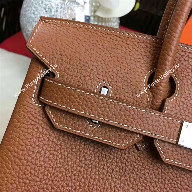 Hermes Birkin Bag Original Leather 17825 Brown