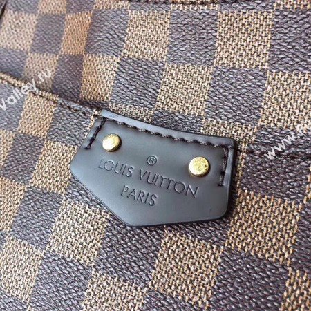 Louis Vuitton Damier Ebene Canvas N44230