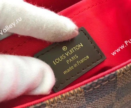 Louis Vuitton Damier Ebene Canvas CROISETTE Bag N53000