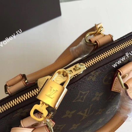 Louis Vuitton Monogram Canvas ALMA PM M53151