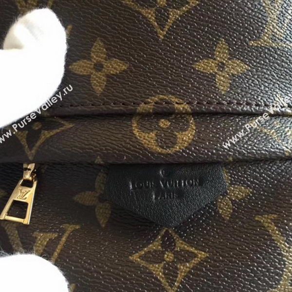 Louis Vuitton Monogram Canvas PALM SPRINGS BACKPACK MINI M41562