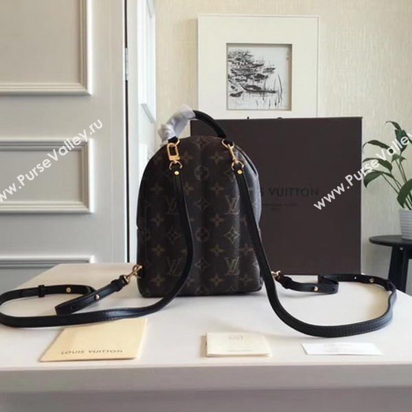 Louis Vuitton Monogram Canvas PALM SPRINGS BACKPACK MINI M41562