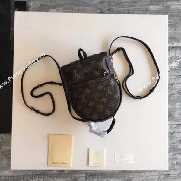 Louis Vuitton Monogram Canvas PALM SPRINGS BACKPACK MINI M41562