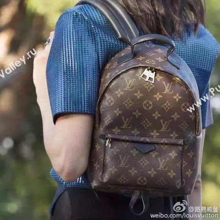 Louis Vuitton Monogram Canvas PALM SPRINGS BACKPACK MM M41561