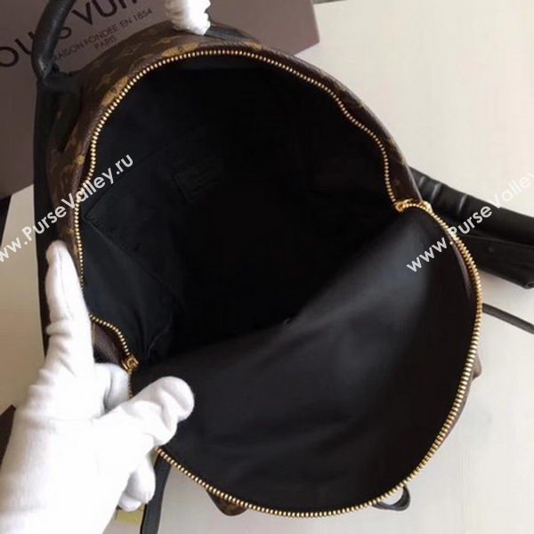 Louis Vuitton Monogram Canvas PALM SPRINGS BACKPACK PM M41560