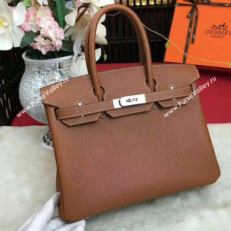 Hermes Birkin Bag Original Leather 17825 Brown