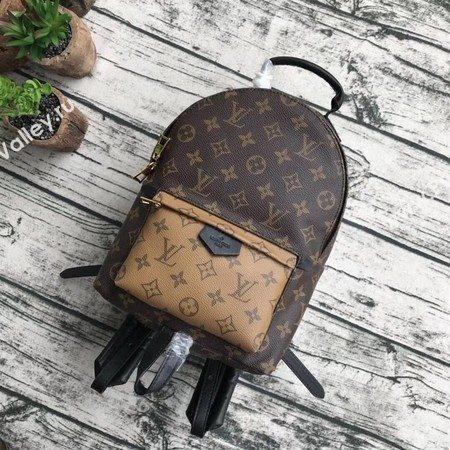 Louis Vuitton Monogram Canvas PALM SPRINGS BACKPACK MM M43116