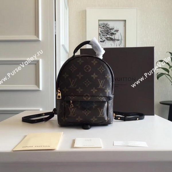 Louis Vuitton Monogram Canvas PALM SPRINGS BACKPACK MINI M41562