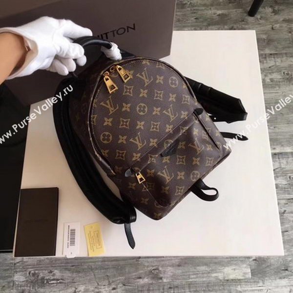 Louis Vuitton Monogram Canvas PALM SPRINGS BACKPACK PM M41560