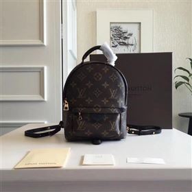 Louis Vuitton Monogram Canvas PALM SPRINGS BACKPACK MINI M41562